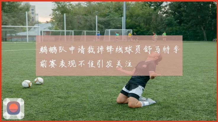 鹈鹕队申请裁掉锋线球员舒马特季前赛表现不佳引发关注