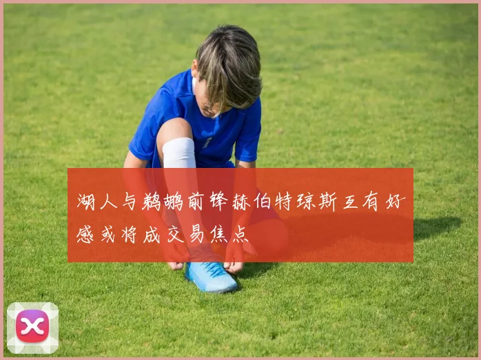 湖人与鹈鹕前锋赫伯特琼斯互有好感或将成交易焦点