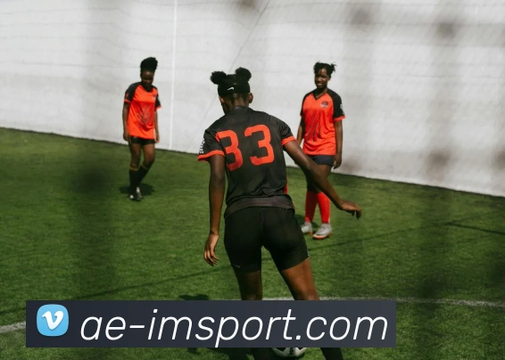 App Interface Preview